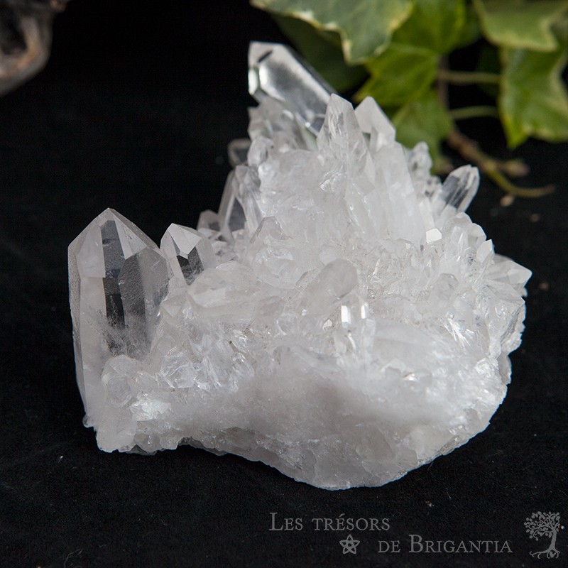 Quartz cristal de roche amas