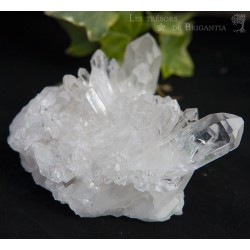 Cristal de Roche - Amas cristallin - 278gr